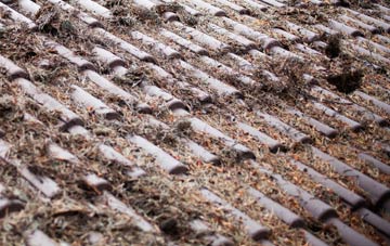 Stowlangtoft roof cleaning companies